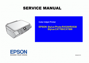 Epson Rx520  -  4